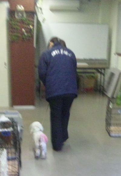 2010 04.30 007.jpg