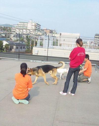 2010 04.30 012.jpg
