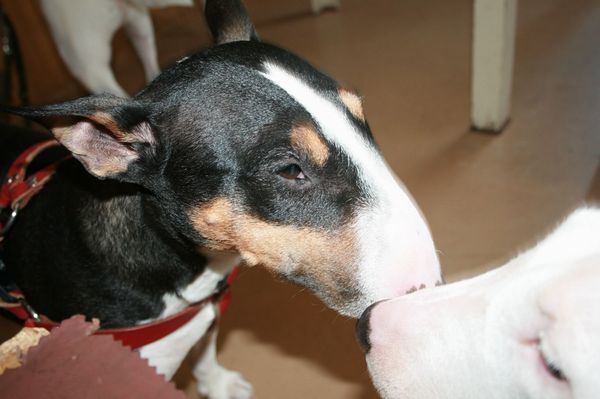 2010 05.02 116.jpg