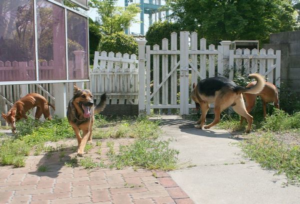 2010 05.02 145.jpg