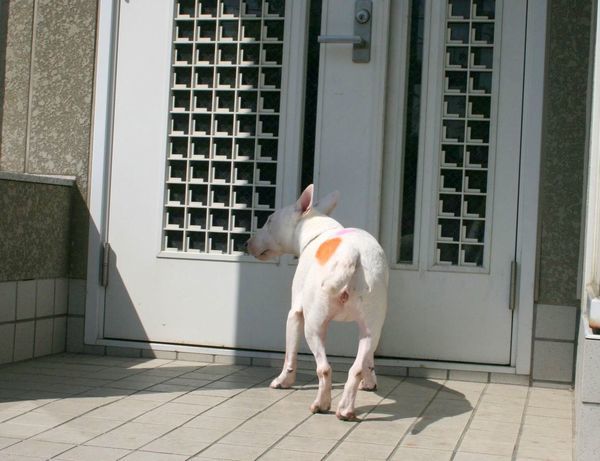 2010 05.02 148.jpg