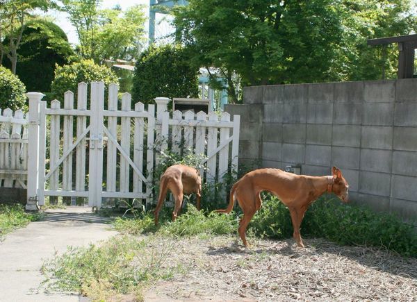 2010 05.02 149.jpg