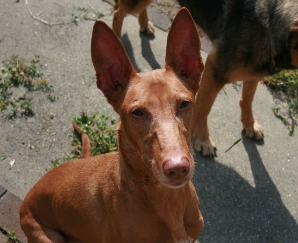 2010 05.02 354.jpg