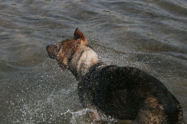 2010 05.05 081.jpg