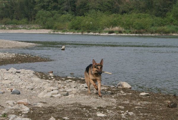 2010 05.05 089.jpg