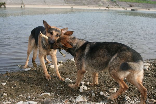 2010 05.05 114.jpg