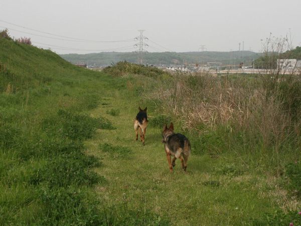 2010 05.05 123.jpg