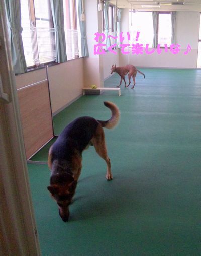 2010 05.08 001.jpg
