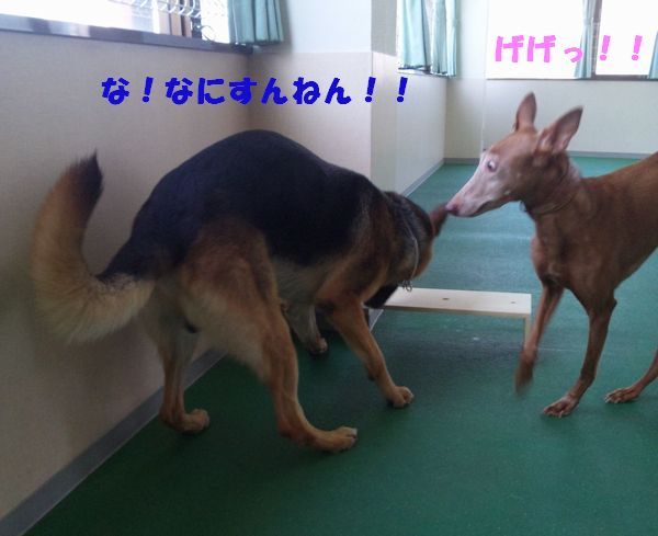 2010 05.08 004.jpg
