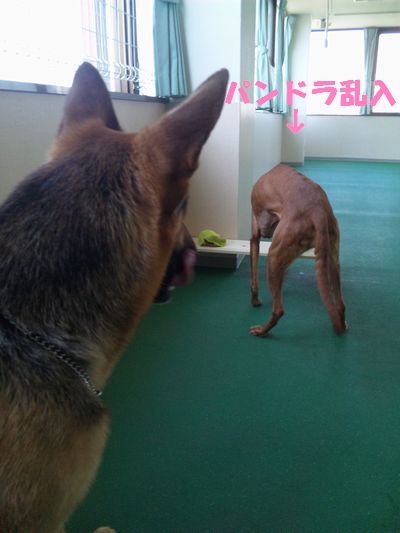 2010 05.08 005.jpg