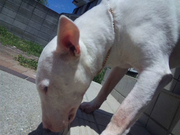 2010 05.16 007.jpg