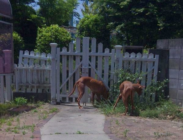 2010 05.16 014.jpg
