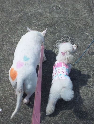 2010 05.21 007.jpg
