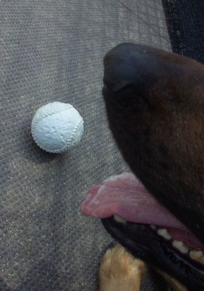 2010 05.21 039.jpg
