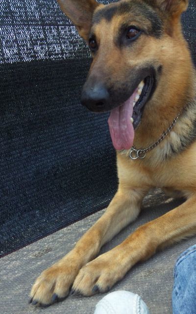 2010 05.21 041.jpg