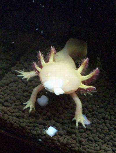 2010 05.23 007.jpg