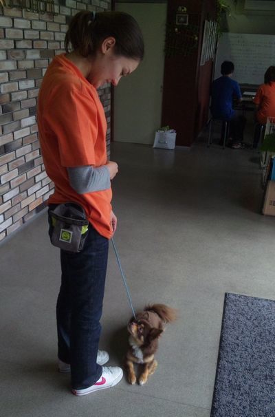 2010 05.26 007.jpg