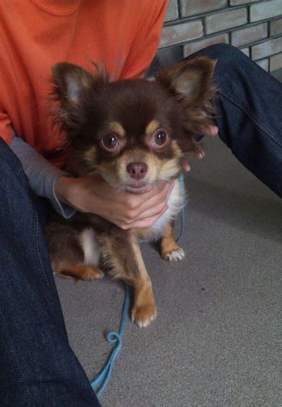 2010 05.26 011.jpg