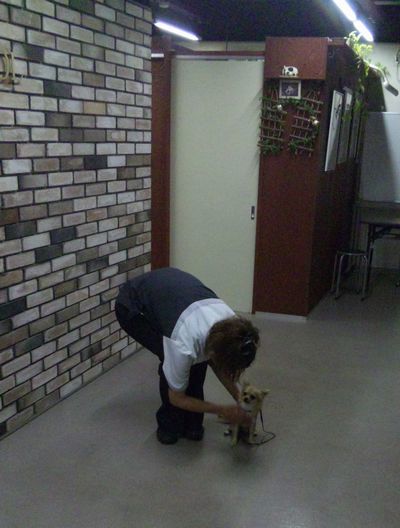 2010 05.26 015.jpg