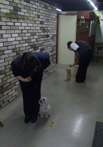 2010 05.26 017.jpg
