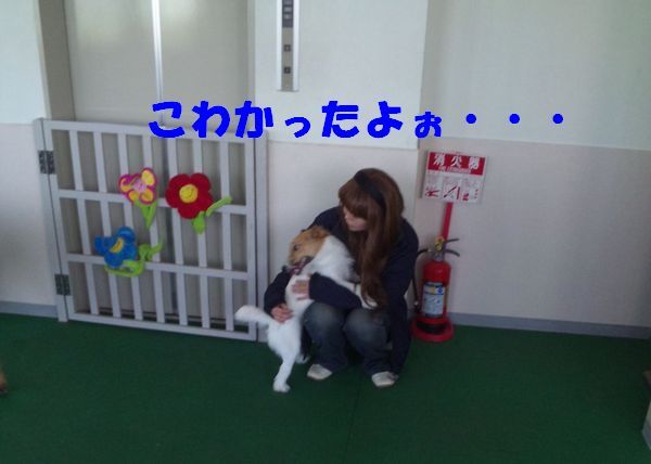 2010 05.29 001.jpg