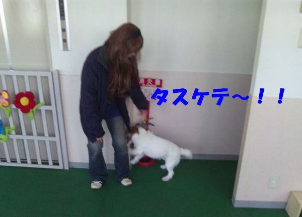 2010 05.29 002.jpg