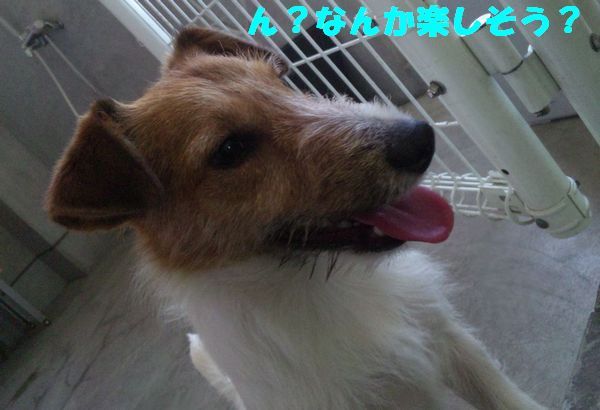 2010 05.29 006.jpg
