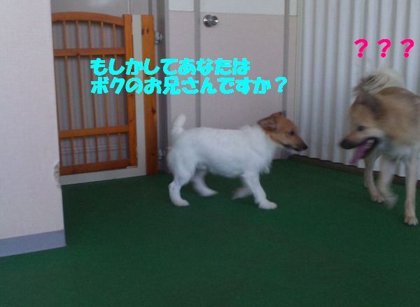 2010 05.29 009.jpg