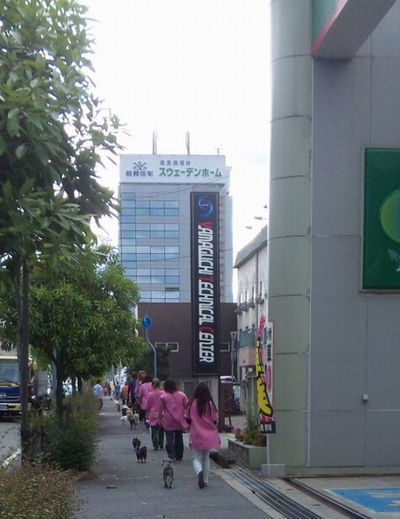2010 05.29 017.jpg