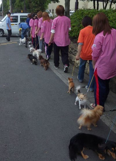 2010 05.29 019.jpg