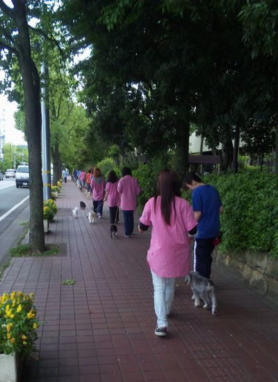2010 05.29 021.jpg