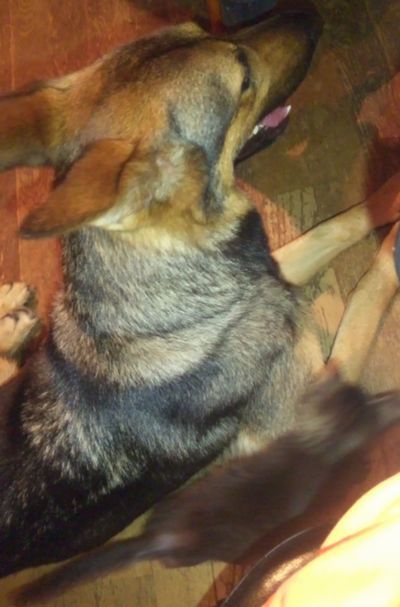 2010 06.28 004.jpg