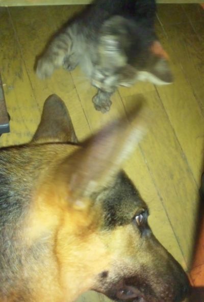 2010 06.28 009.jpg