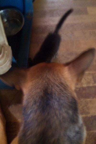 2010 06.28 015.jpg