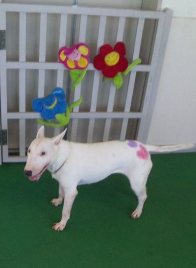 2010 08.06 030.jpg