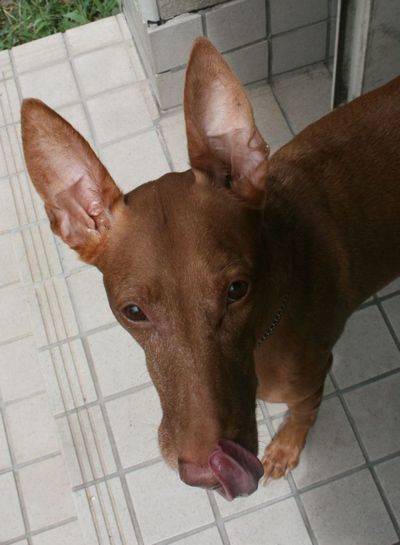 2010 08.09 013.jpg