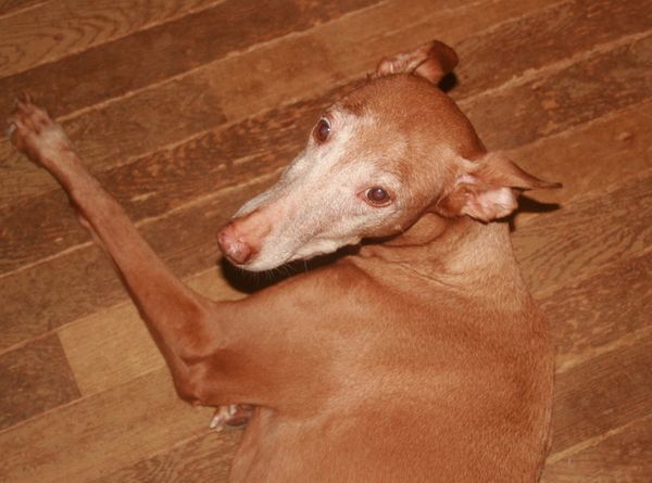 2010 08.11 023.jpg