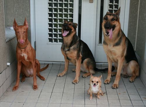 2010 08.15 038.jpg