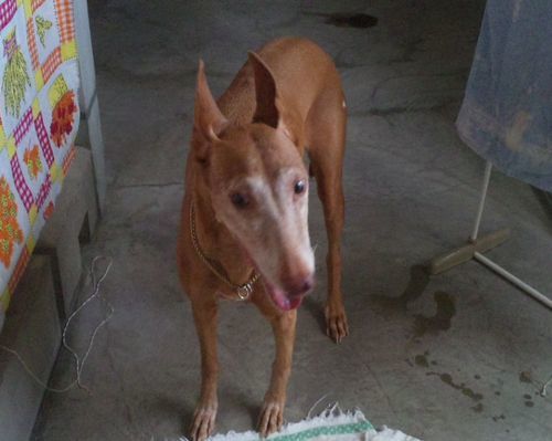 2010 08.31 005.jpg