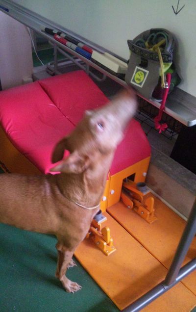 2010 08.31 008.jpg