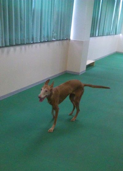 2010 08.31 010.jpg