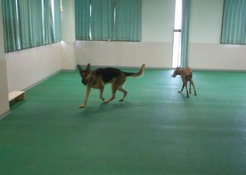 2010 08.31 011.jpg