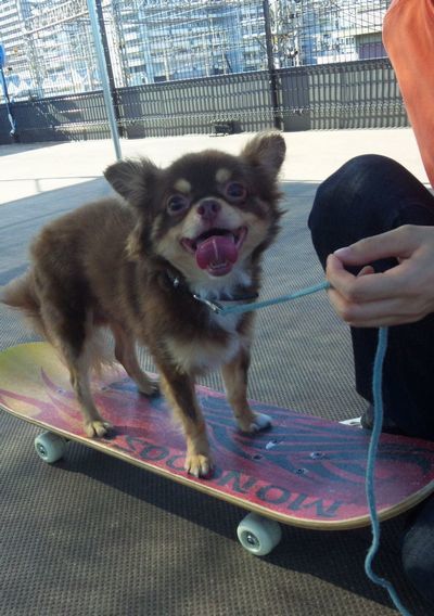 2010 09.05 015.jpg