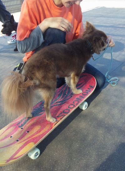 2010 09.05 017.jpg