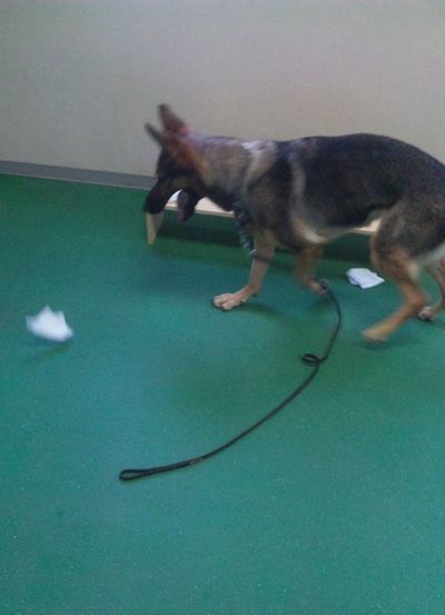 2010 09.05 068.jpg