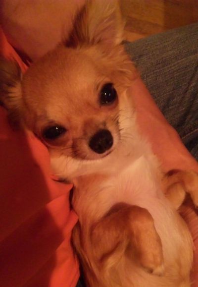 2010 09.05 077.jpg