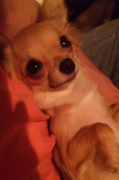 2010 09.05 078.jpg