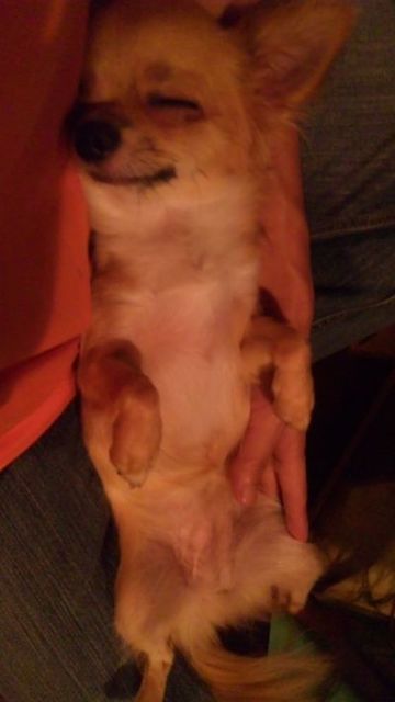 2010 09.05 083.jpg