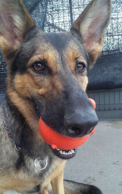 2010 09.09 034.jpg