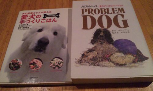 2010 09.12-2 001.jpg